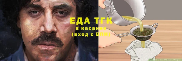 индика Аркадак