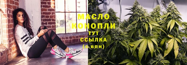 индика Аркадак