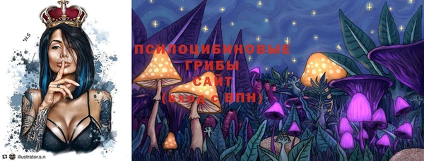 индика Аркадак