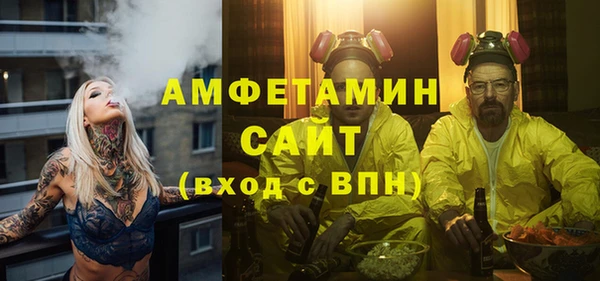 индика Аркадак