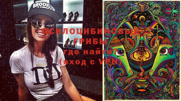 стафф Арсеньев