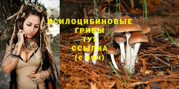 стафф Арсеньев