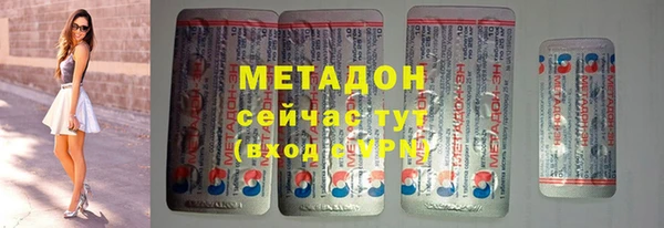 индика Аркадак