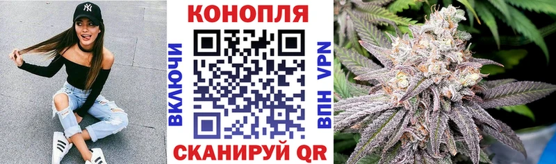 OMG зеркало  Новая Ладога  Канабис гибрид  где можно купить  